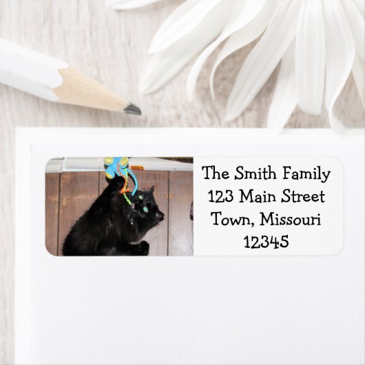 Étiquette Disco (En situation)