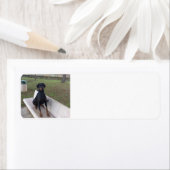 Étiquette doberman pinting (En situation)