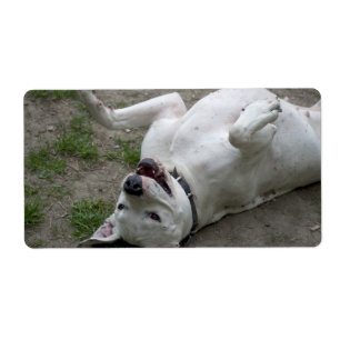 Étiquette Dogo Argentino