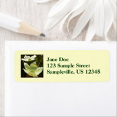 Étiquette Dogwoods et séquoias dans le parc national Yosemit (En situation)