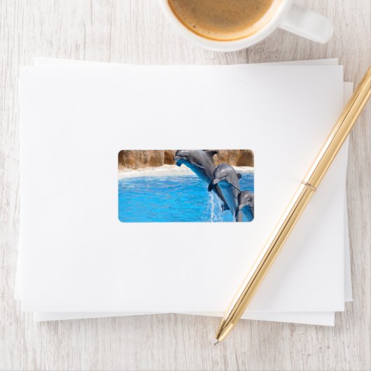 ÉTIQUETTE DOLPHINE (En situation)