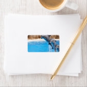 ÉTIQUETTE DOLPHINE (En situation)