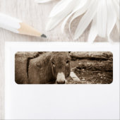 Étiquette Donkey (En situation)