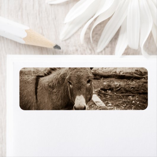 Étiquette Donkey (En situation)