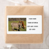 Étiquette Donkey And Cow Shipping Labels (En situation)