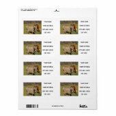 Étiquette Donkey And Cow Shipping Labels (Feuille entière)