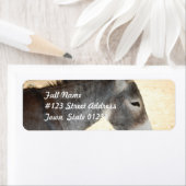 Étiquette Donkey doux (En situation)