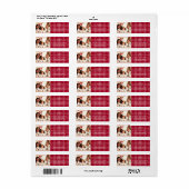 Étiquette doodle bow photo rouge plaid Adresse de retour Lab (Feuille entière)