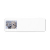 Étiquette Doodles deux (Devant)