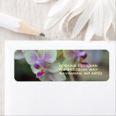 Étiquette d'orchidées Cream et PInk (En situation)