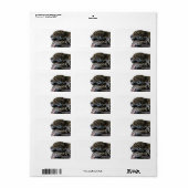 Étiquette Dormir Jaguar pas d'arrière - plan (Feuille entière)