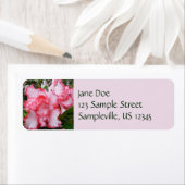 Étiquette Double rouge et blanc Azaleas printemps floral (En situation)