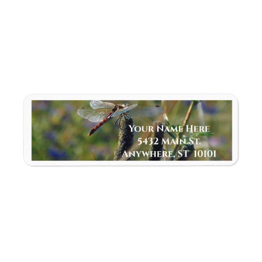 Étiquette Dragonfly Return Address Label (Devant)