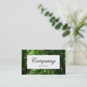 Étiquette du centre - Dans les arbres II (Debout devant)