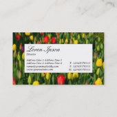 Étiquette du centre - Tulipes colorées (Dos)