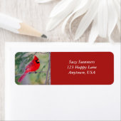 Étiquette du contraste cardinal (En situation)