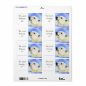 Étiquette du livre Ours polaire (Feuille entière)