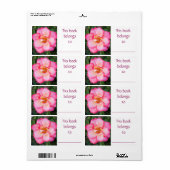 Étiquette du livre Rose (Feuille entière)