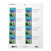 Étiquette du livre Sea Horses (Feuille entière)