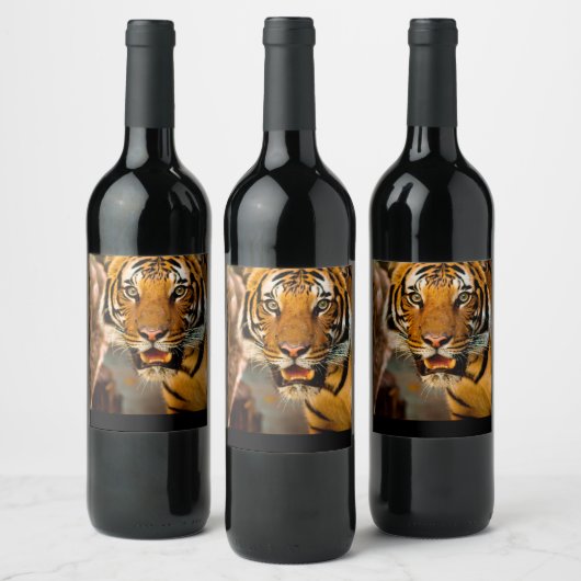 Étiquette du vin de Tiger (Bouteilles)