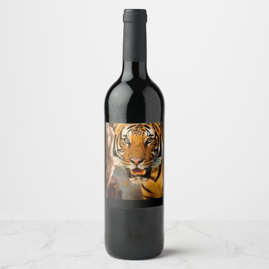 Étiquette du vin de Tiger (Devant)