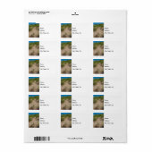 Étiquette Dune D'Oats De Mer (Feuille entière)