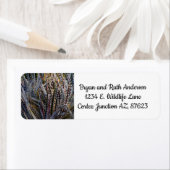 Étiquette Dyckia délice (En situation)