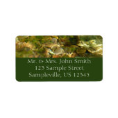 Étiquette Eau de sources chaudes Green-Gold Nature (Devant)