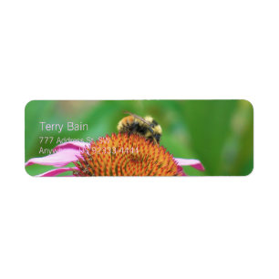 Étiquette Echinacée d'abeille