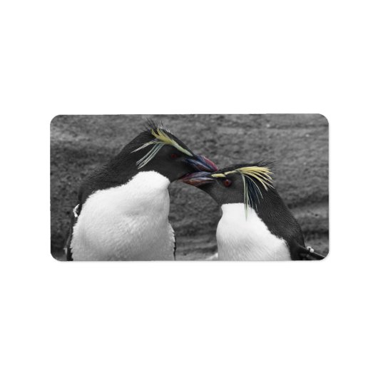 Étiquette Éclaboussure de couleur de pingouin (Devant)