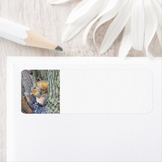 Étiquette Écureuil (En situation)