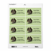 Étiquette Écureuil de bébé (Feuille entière)