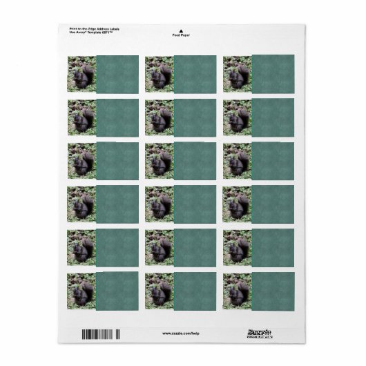 Étiquette Écureuil de Birch Bay (Feuille entière)