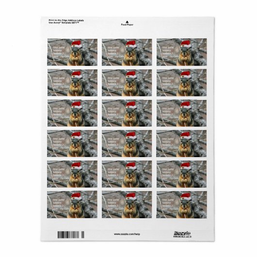 Étiquette Écureuil de Noël (Feuille entière)