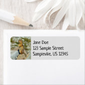 Étiquette Écureuil de terrain à manteau doré au Mont Rainier (En situation)