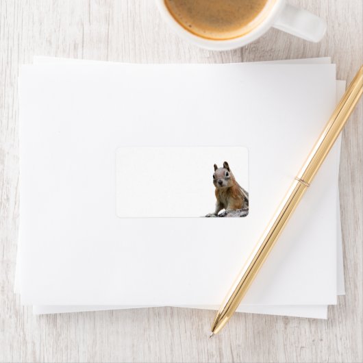 Étiquette Écureuil terrestre (En situation)