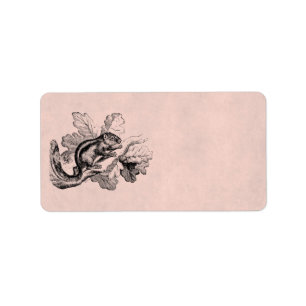Étiquette Écureuils vintages de 1800s d'écureuil rayé