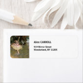 Étiquette Edgar Degas - The Star 1878 (En situation)