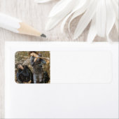 Étiquette Edward Jones - L'évocation de Merlin (En situation)