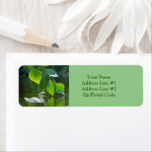 Étiquette Élégant cygne d'été (En situation)