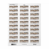 Étiquette Elégant Pearls & Sea Shells Beach Mariage (Feuille entière)