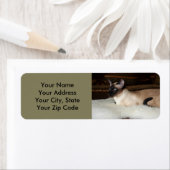 Étiquette Elegant Siamese Cat (En situation)