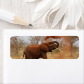 Étiquette Eléphant (En situation)