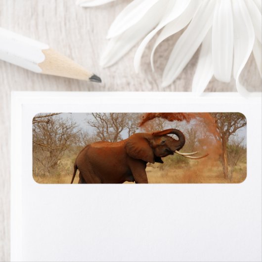 Étiquette Eléphant (En situation)