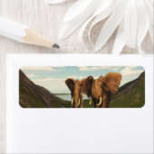 Étiquette Eléphant (En situation)