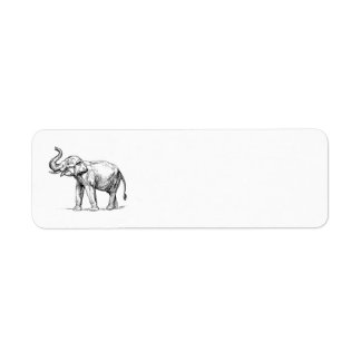 Étiquette Eléphant indien