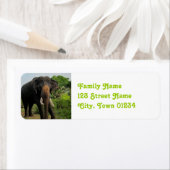 Étiquette Eléphant indien (En situation)