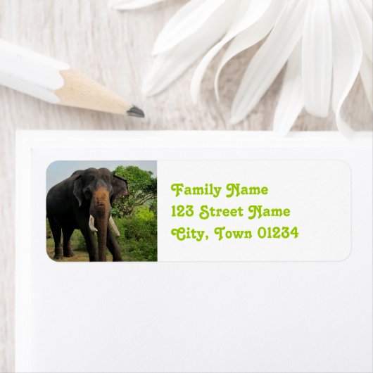 Étiquette Eléphant indien (En situation)