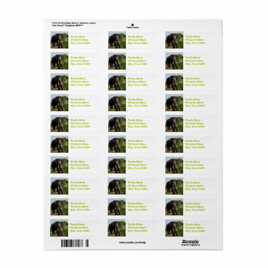 Étiquette Eléphant indien (Feuille entière)