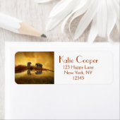 Étiquette Eléphants asiatiques en Thaïlande sous un coucher  (En situation)